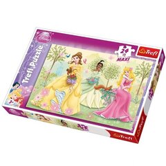 Dėlionė Trefl „Princesės“, 24 detalės kaina ir informacija | Dėlionės (puzzle) | pigu.lt