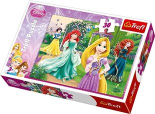 Dėlionė Puzzle "Princesės" Trefl, 30 det. цена и информация | Пазлы | pigu.lt