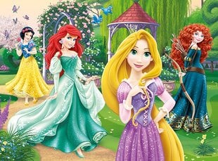 Dėlionė Puzzle "Princesės" Trefl, 30 det. цена и информация | Пазлы | pigu.lt