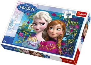 Пазл 100 Frozen, Anna & Elsa цена и информация | Пазлы | pigu.lt