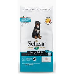 Schesir Large Adult Fish, 12 kg - sausas ėdalas su vandenyno žuvimis suaugusiems dideliems šunims, Z 020098 kaina ir informacija | Sausas maistas šunims | pigu.lt