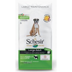 Schesir Large Adult Lamb, 12kg - sausas ėdalas su ėriena suaugusiems dideliems šunims, Z 020099 kaina ir informacija | Sausas maistas šunims | pigu.lt