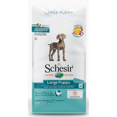 Сухой корм Schesir Large Puppy для щенков крупных пород, беременных и кормящих сук, Z 020095, 12 кг цена и информация | Сухой корм для собак | pigu.lt