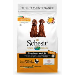 Schesir Medium Adult Chicken, 12kg - sausas maistas su vištiena suaugusiems vidutinių veislių šunims, Z 020015 kaina ir informacija | Sausas maistas šunims | pigu.lt