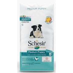 Сухой корм Schesir Medium Puppy для средних пород, беременных и кормящих сук, Z 020018, 12 кг цена и информация | Сухой корм для собак | pigu.lt