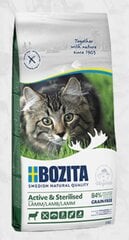 Беззерновой сухой корм с ягненком Bozita Grain Free Active & Sterilized Lamb для активных стерилизованных кошек, Z 010095, 10 кг цена и информация | Сухой корм для кошек | pigu.lt