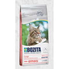 Bozita Wheat Free Large Salmon, 10kg - sausas maistas be kviečių su lašiša didelių veislių katėms, Z 010101 kaina ir informacija | Sausas maistas katėms | pigu.lt