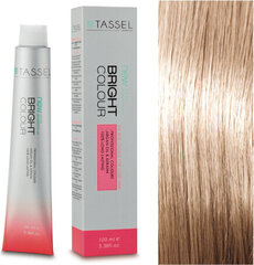 Plaukų dažai Eurostil Tassel Tinte N10, 100ml kaina ir informacija | Plaukų dažai | pigu.lt