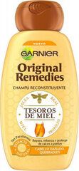 Šampūnas pažeistiems plaukams Garnier Original Remedies Honey Treasures Shampoo, 500ml kaina ir informacija | Šampūnai | pigu.lt