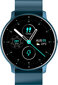 Laikrodis vyrams Gravity GT1-5 kaina ir informacija | Vyriški laikrodžiai | pigu.lt