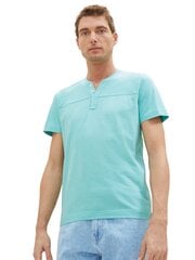 Мужская футболка Tom Tailor, бирюзового цвета цена и информация | Мужские футболки | pigu.lt
