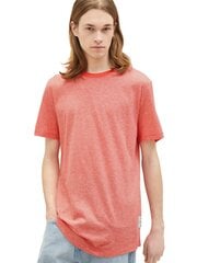 Мужская рубашка Tom Tailor в красную полоску цена и информация | Футболка мужская | pigu.lt