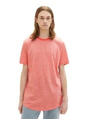 Мужская рубашка Tom Tailor в красную полоску цена и информация | Мужские футболки | pigu.lt