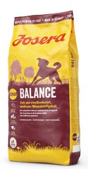 Josera с сбалансированным жировым и белковым балансом, 15 кг цена и информация | Josera Для собак | pigu.lt