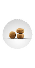 Josera с сбалансированным жировым и белковым балансом, 15 кг цена и информация | Josera Для собак | pigu.lt