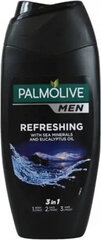 Šampūnas ir dušo želė vyrams Palmolive Men Refreshing Shampoo And Shower Gel, 250ml цена и информация | Шампуни | pigu.lt