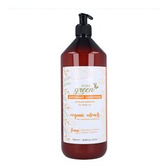 Plaukų kondicionierius Pure Green Antioxidant Conditioner, 1000 ml kaina ir informacija | Balzamai, kondicionieriai | pigu.lt