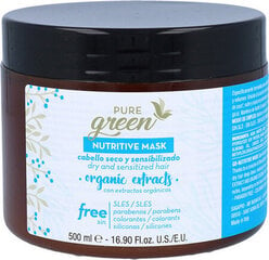 Maitinamoji plaukų kaukė Pure Green Nutritive Mask, 500 ml kaina ir informacija | Priemonės plaukų stiprinimui | pigu.lt