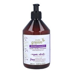 Шампунь Antifrizz Pure Green цена и информация | Шампуни | pigu.lt