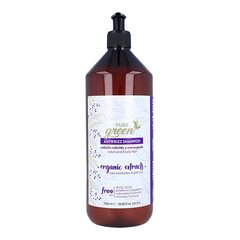 Glotninamasis plaukų šampūnas Pure Green Antifrizz Shampoo, 1000 ml kaina ir informacija | Šampūnai | pigu.lt