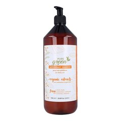 Plaukų šampūnas Pure Green Antioxidant Shampoo, 1000 ml kaina ir informacija | Šampūnai | pigu.lt