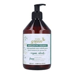 Šampūnas nuo pleiskanų Pure Green Rebalancing Shampoo, 500 ml kaina ir informacija | Šampūnai | pigu.lt