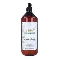 Šampūnas nuo pleiskanų Pure Green Rebalancing Shampoo, 1000 ml kaina ir informacija | Šampūnai | pigu.lt