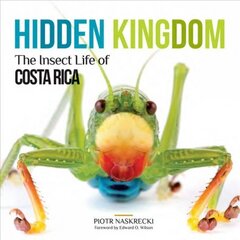 Hidden Kingdom: The Insect Life of Costa Rica цена и информация | Книги о питании и здоровом образе жизни | pigu.lt