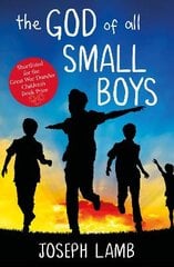 God of All Small Boys цена и информация | Книги для подростков  | pigu.lt