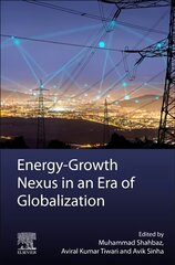 Energy-Growth Nexus in an Era of Globalization kaina ir informacija | Ekonomikos knygos | pigu.lt