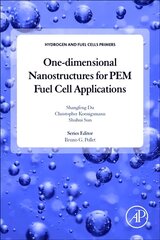 One-dimensional Nanostructures for PEM Fuel Cell Applications kaina ir informacija | Socialinių mokslų knygos | pigu.lt