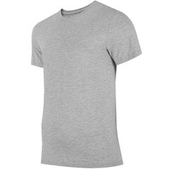 Marškinėliai vyrams 4F, pilki kaina ir informacija | Vyriški marškinėliai | pigu.lt