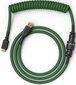 Glorious PC Gaming Race Coiled Cable, Forest Green цена и информация | Adapteriai, USB šakotuvai | pigu.lt