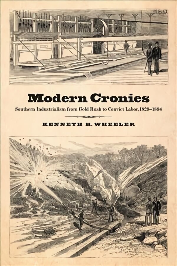 Modern Cronies: Southern Industrialism from Gold Rush to Convict Labor, 1829-1894 цена и информация | Istorinės knygos | pigu.lt