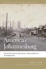 America's Johannesburg: Industrialization and Racial Transformation in Birmingham kaina ir informacija | Socialinių mokslų knygos | pigu.lt