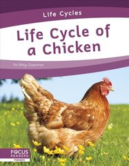Life Cycles: Life Cycle of a Chicken цена и информация | Книги для подростков и молодежи | pigu.lt