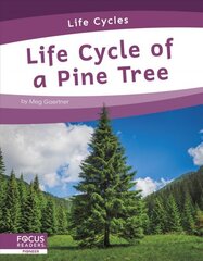 Life Cycles: Life Cycle of a Pine Tree цена и информация | Книги для подростков и молодежи | pigu.lt