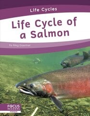 Life Cycles: Life Cycle of a Salmon цена и информация | Книги для подростков и молодежи | pigu.lt