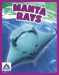 Giants of the Sea: Manta Rays kaina ir informacija | Knygos paaugliams ir jaunimui | pigu.lt