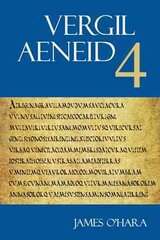 Aeneid 4 цена и информация | Поэзия | pigu.lt