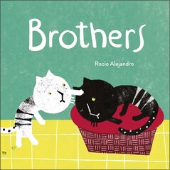 Brothers цена и информация | Книги для малышей | pigu.lt