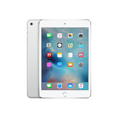 iPad Mini 3 16GB WiFi+Cellular Silver (обновленный, состояние A) цена и информация | Планшеты | pigu.lt