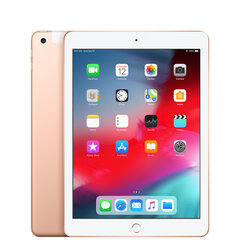 iPad Pro 9.7" 256GB WiFi + Cellular, Gold (atnaujinta, būklė A) kaina ir informacija | Planšetiniai kompiuteriai | pigu.lt