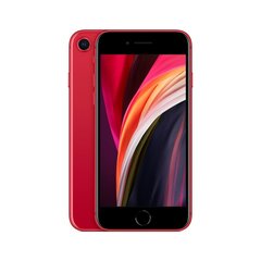 iPhone SE 2.gen 256GB Red (atnaujinta, būklė A) kaina ir informacija | Mobilieji telefonai | pigu.lt