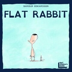 Flat Rabbit цена и информация | Книги для подростков  | pigu.lt