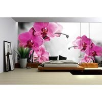 Orchid Pink цена и информация | Фотообои с инструментом и клеем - Бежевые листья эвкалипта, 400x280 см | pigu.lt