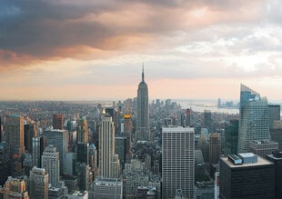 Фотообои Empire State Building цена и информация | Фотообои с инструментом и клеем - Бежевые листья эвкалипта, 400x280 см | pigu.lt