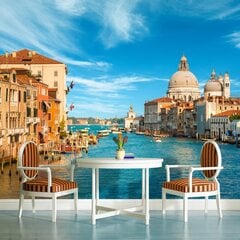 Фотообои Venezia цена и информация | Фотообои с инструментом и клеем - Бежевые листья эвкалипта, 400x280 см | pigu.lt