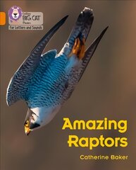 Amazing Raptors: Band 06/Orange цена и информация | Книги для подростков  | pigu.lt