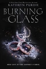 Burning Glass цена и информация | Книги для подростков  | pigu.lt